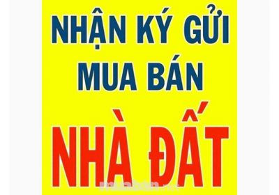 Dịch Vụ Ký Gửi Mua Bán Nhà Đất
