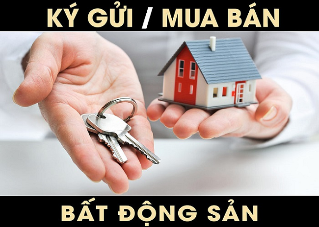 Nhận Ký Gửi Bất Động Sản